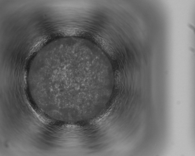 X0000096490590200802141747