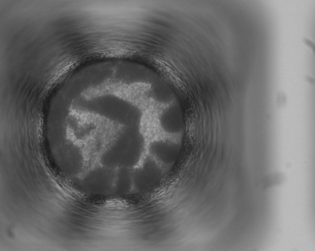 X0000096490591200802141747