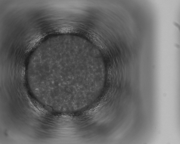 X0000096490592200802141747