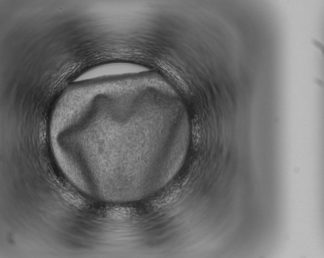 X0000096490593200802141747