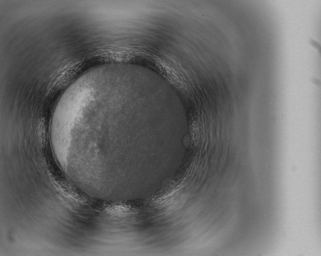 X0000096490594200802141747