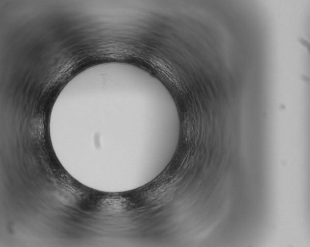 X0000096490595200802141747