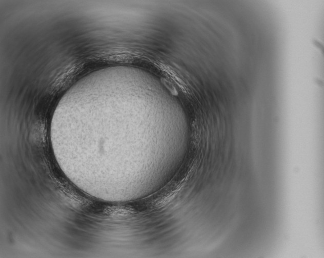 X0000096490597200802141747