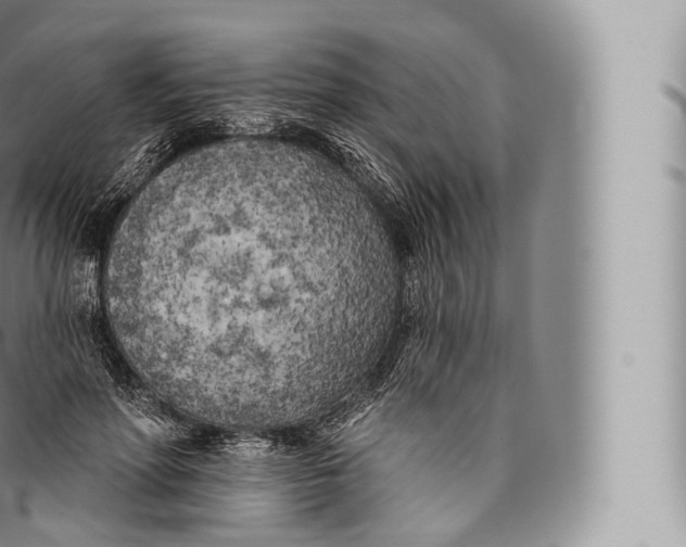 X0000096490598200802141747