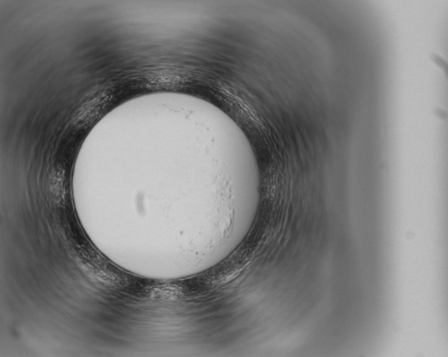 X0000096490599200802141747