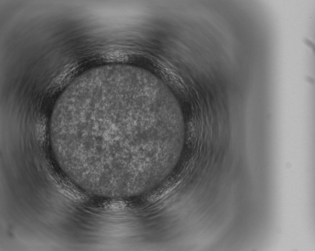 X0000096490600200802141747