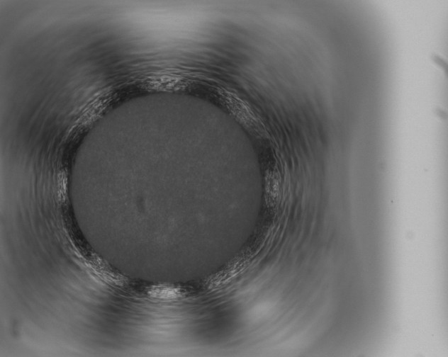 X0000096490602200802141747