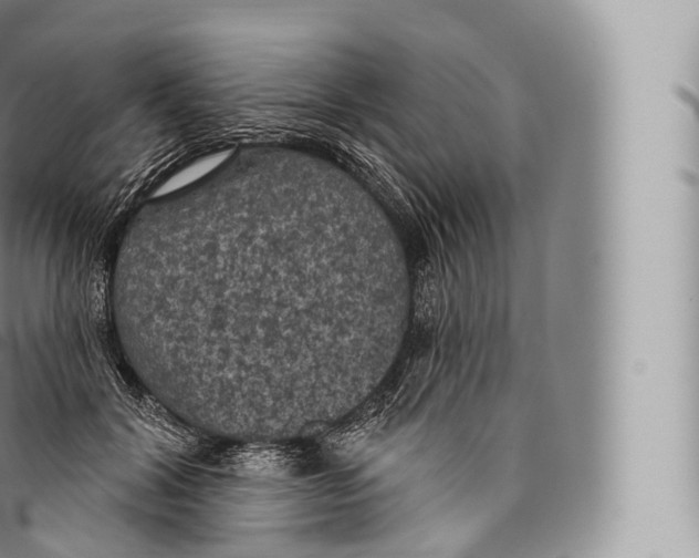 X0000096490604200802141747