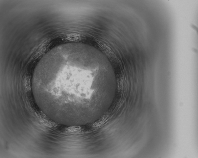 X0000096490606200802141747