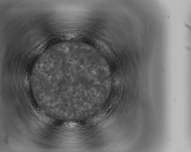 X0000096490607200802141747