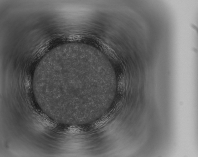 X0000096490608200802141747