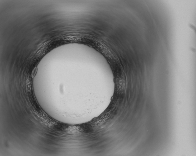 X0000096490609200802141747