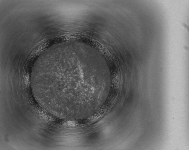 X0000096490610200802141747