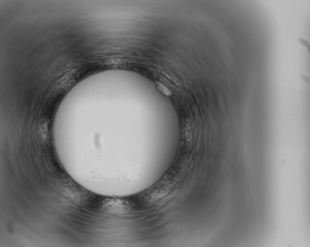 X0000096490611200802141747