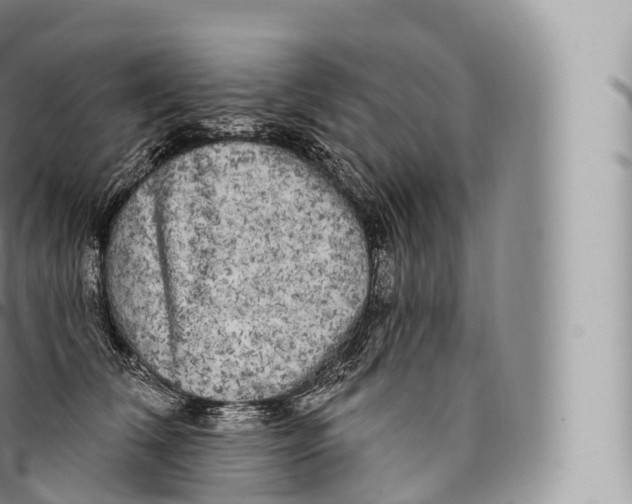 X0000096490612200802141747