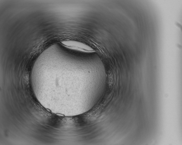 X0000096490613200802141747