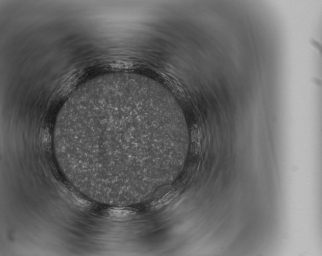 X0000096490614200802141747