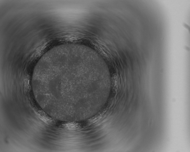 X0000096490615200802141747