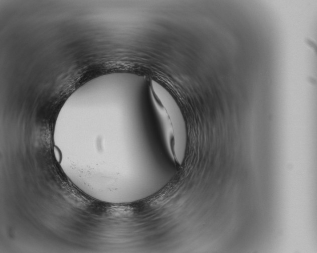 X0000096490617200802141747