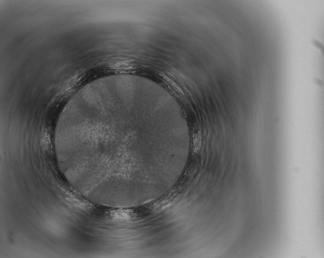 X0000096490618200802141747