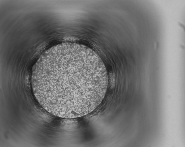 X0000096490619200802141747