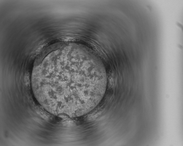 X0000096490620200802141747