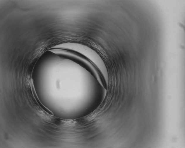 X0000096490621200802141747