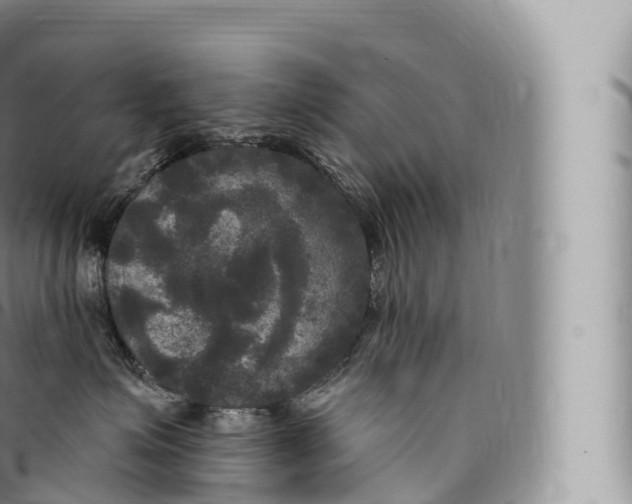 X0000096490623200802141747