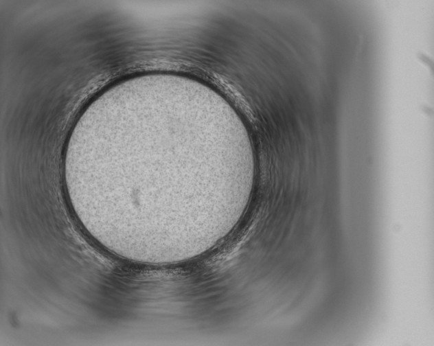 X0000096490625200802141746