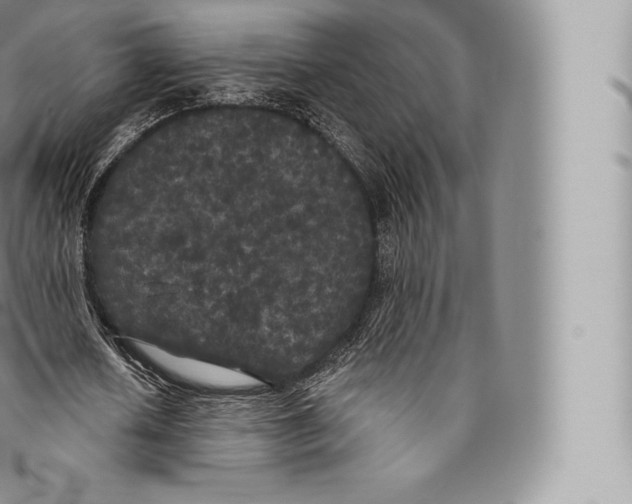 X0000096490626200802141746