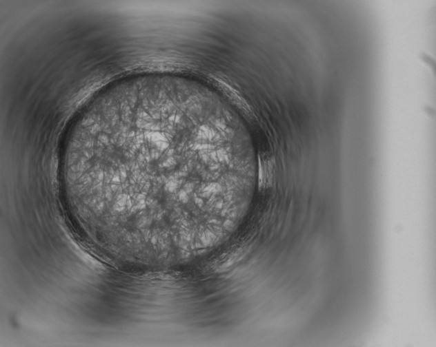 X0000096490627200802141746