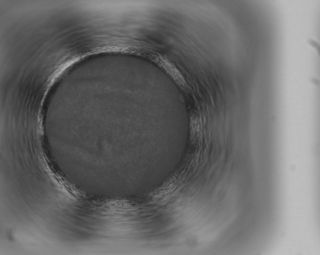 X0000096490628200802141746