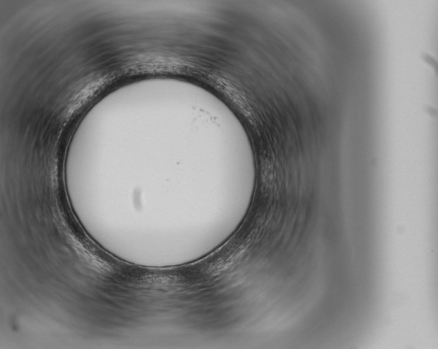 X0000096490629200802141746