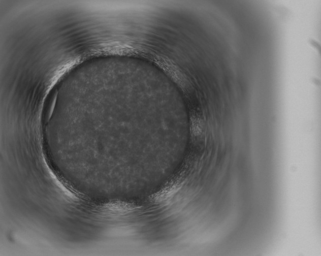 X0000096490630200802141746