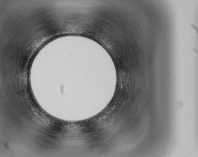 X0000096490632200802141746