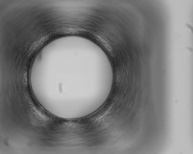 X0000096490633200802141746