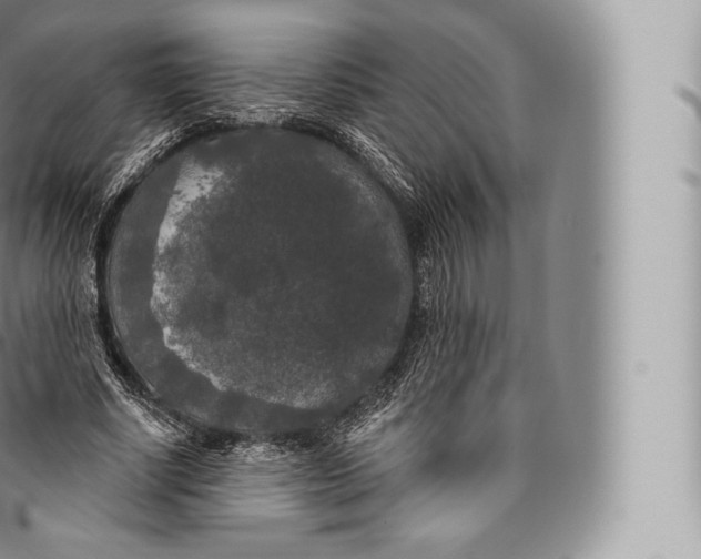 X0000096490634200802141746