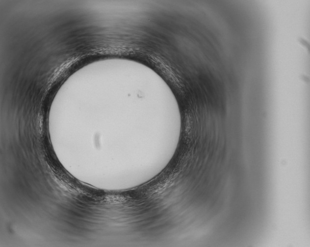 X0000096490636200802141746