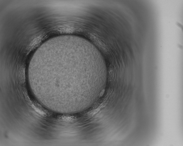 X0000096490638200802141746