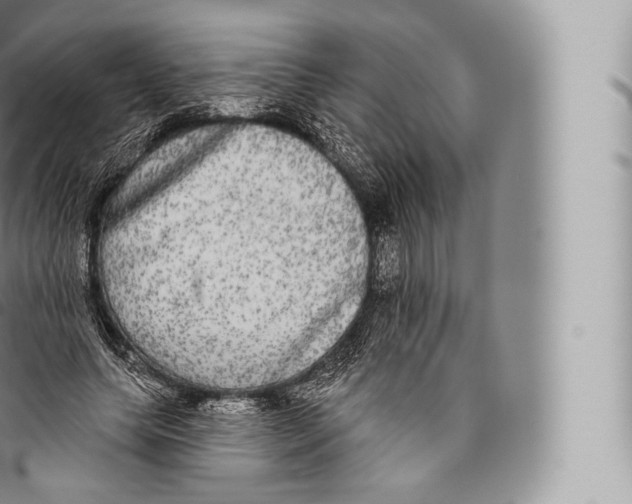 X0000096490639200802141746