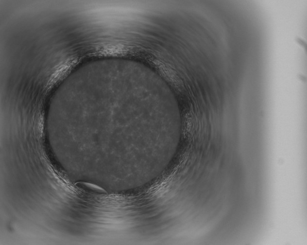 X0000096490640200802141746