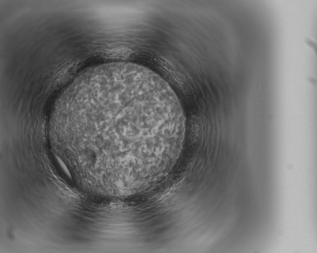 X0000096490641200802141746