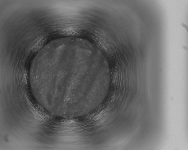 X0000096490643200802141746