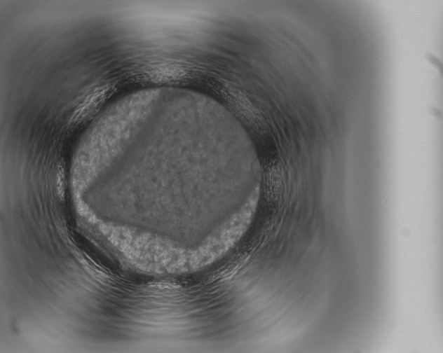 X0000096490644200802141746