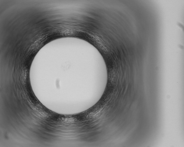 X0000096490645200802141746