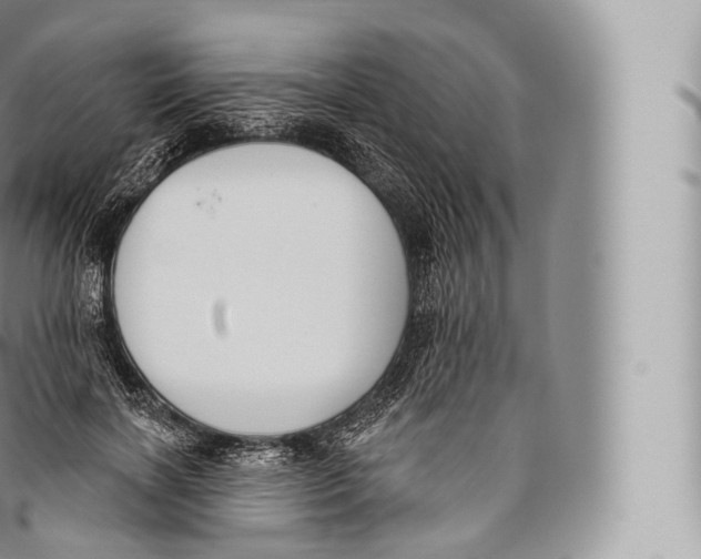 X0000096490646200802141746