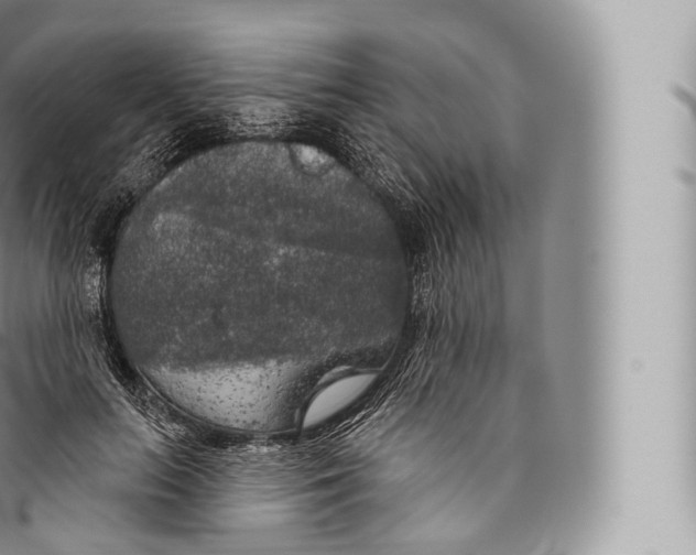 X0000096490647200802141746