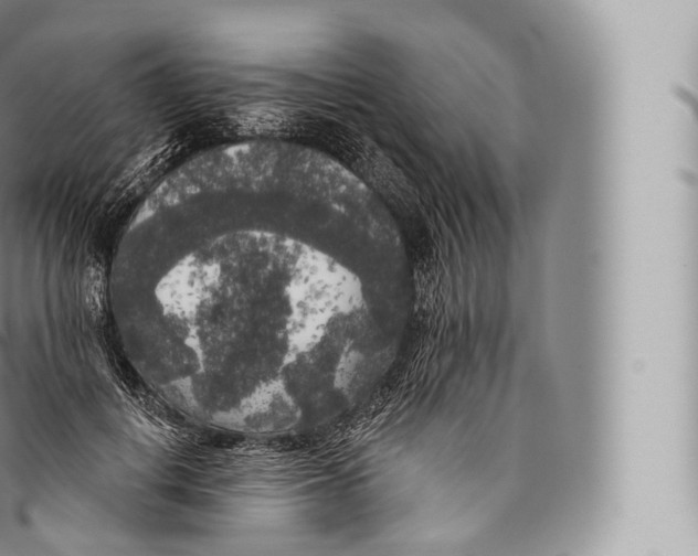 X0000096490648200802141746