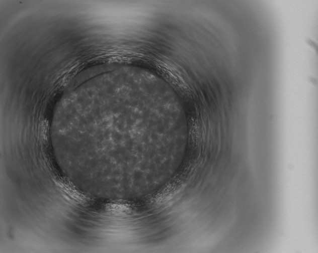 X0000096490649200802141746