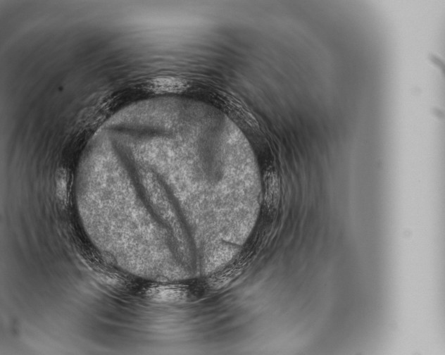 X0000096490655200802141746